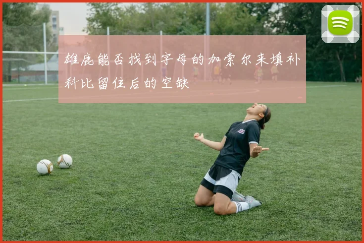 雄鹿能否找到字母的加索尔来填补科比留住后的空缺