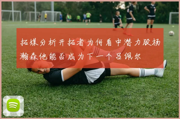 拓媒分析开拓者为何看中潜力股杨瀚森他能否成为下一个吕佩尔